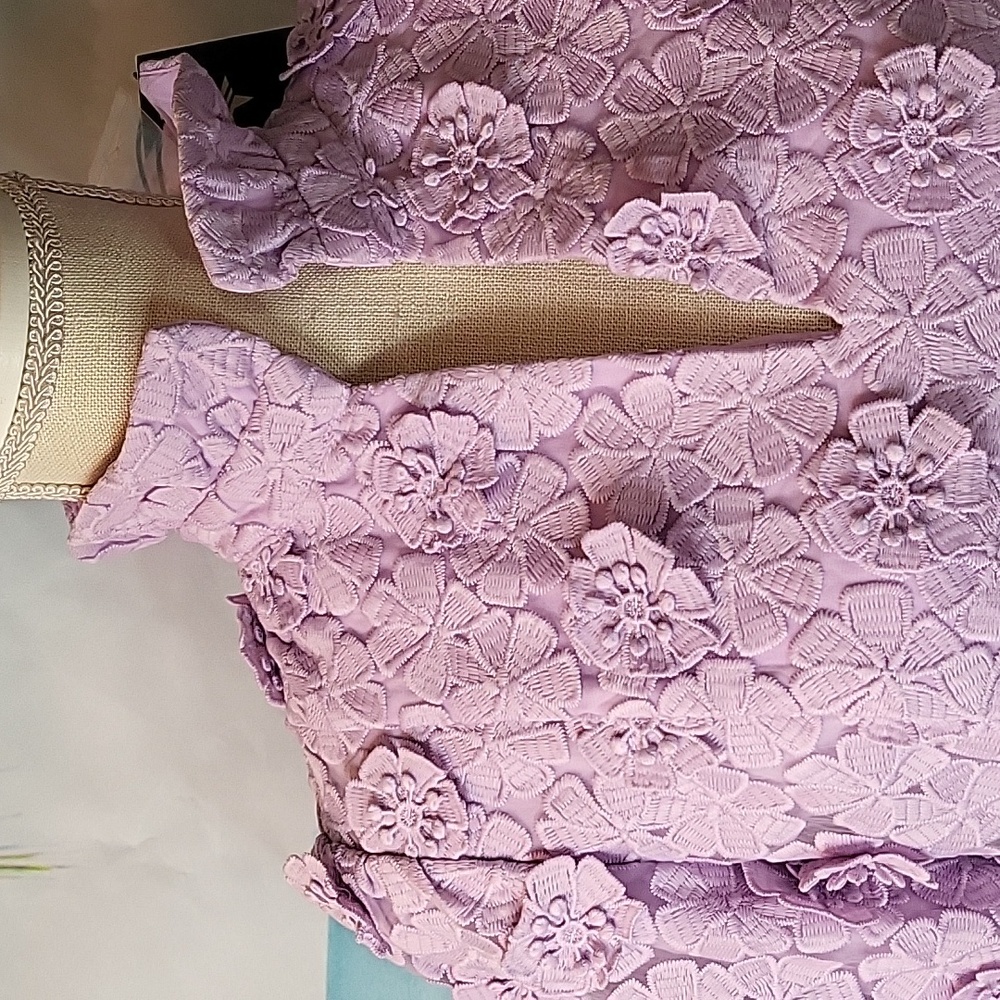 Tuckernuck Lilac Lace Palmerton Floral Mini Dress Numerous Sizes - Picture 5 of 11